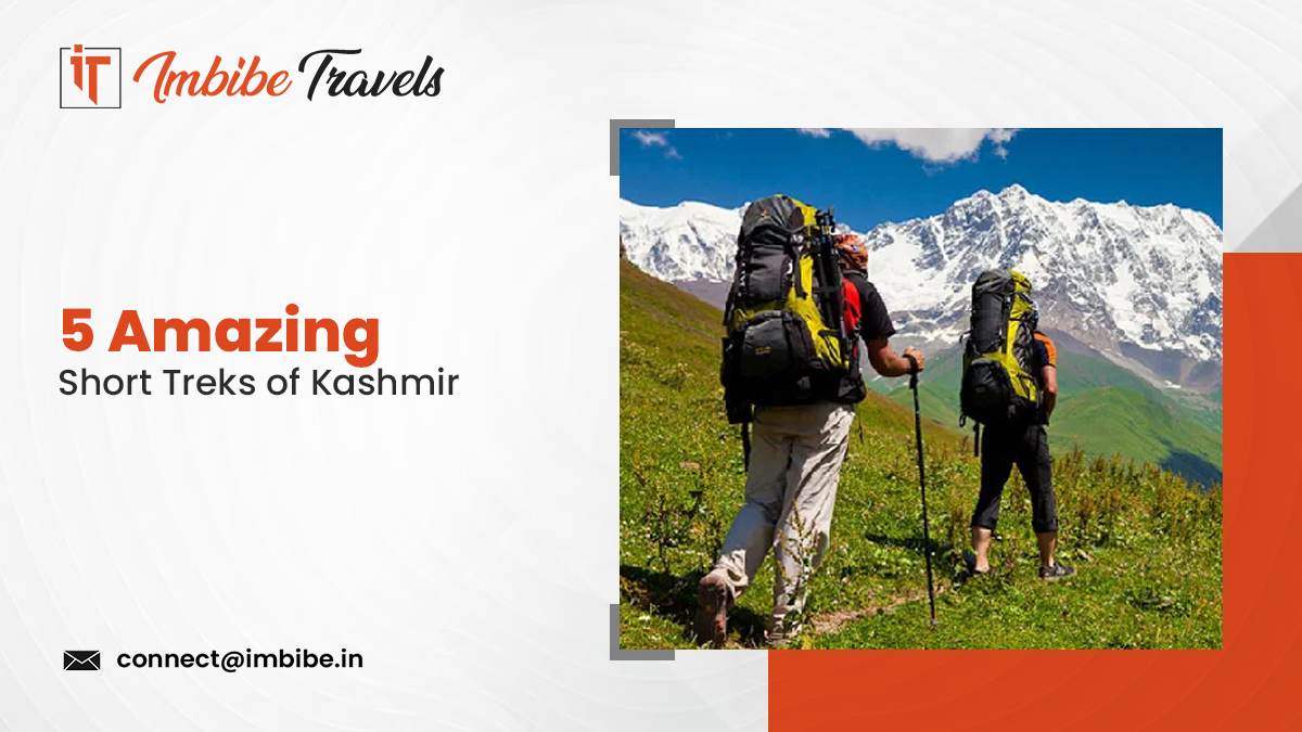 https://imbibetravels.com/blog/2025/11/10/5-amazing-short-treks-of-kashmir