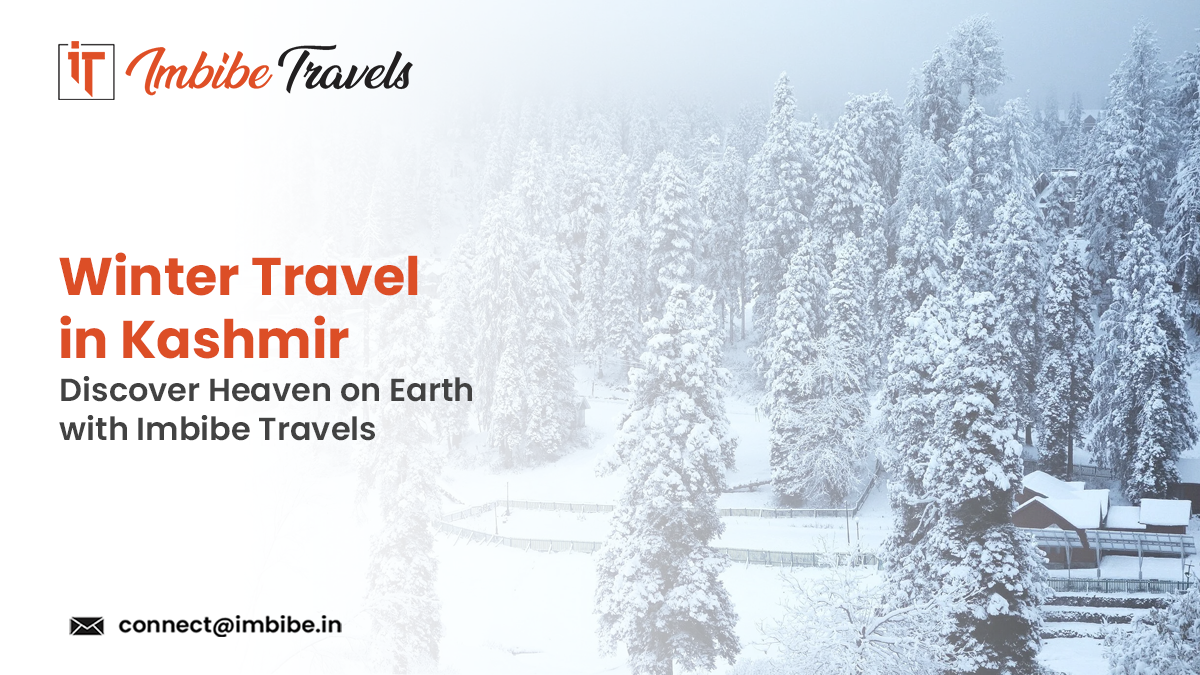 https://imbibetravels.com/blog/2025/14/11/winter-travel-in-kashmir-discover-heaven-on-earth-with-imbibe-travels